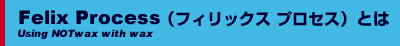 Felix Process（フィリックス　プロセス）とは
